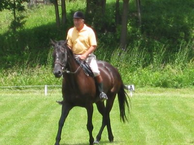 06-21-03_BogartDressage.jpg