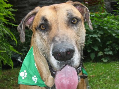 07-13-03_Duke