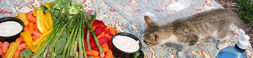 9-2-02cattable