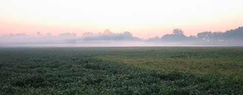9-7-02fog
