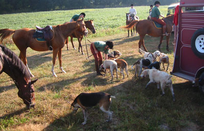 9-7-02houndstrailer