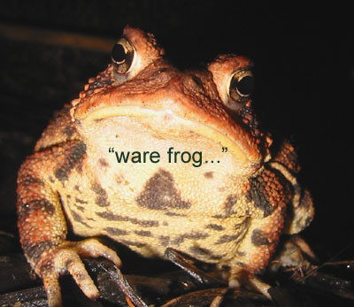 9-20-02froggiewarefrog