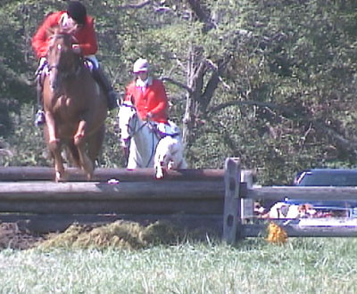 10-5-02dannyhounds2