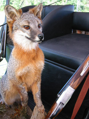 10-5-02fox