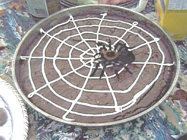 10-5-02spidera