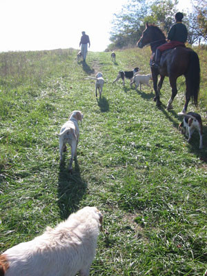 10-13-02deidrehoundshill