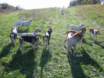 10-13-02hounds