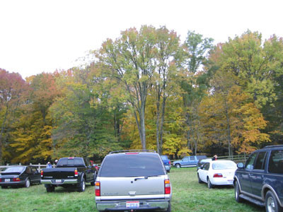 10-27-02carstreees