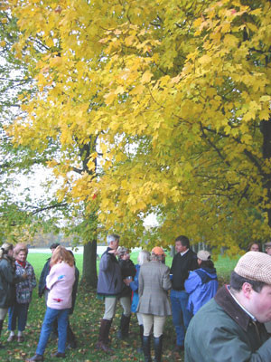 10-27-02grouptrees