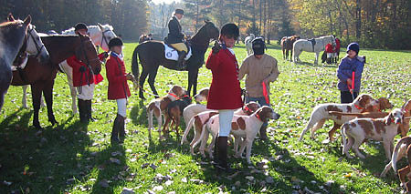 11-2-02hounds