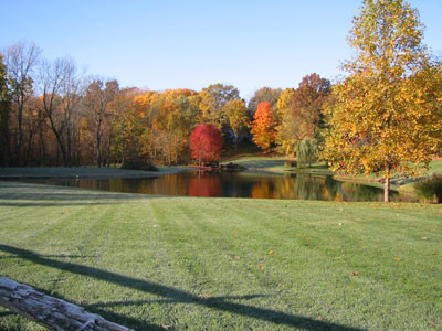 11-2-02pond