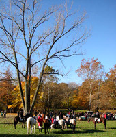 11-2-03treee
