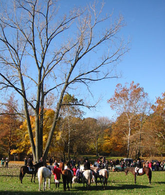 11-2-03treee
