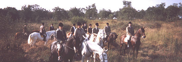 11-3-01portugalpano590