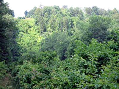 180-8086_IMG19