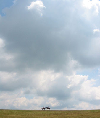 180-8096_IMG003