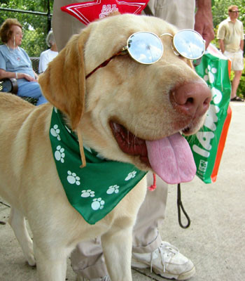 182-8203_IMG-400