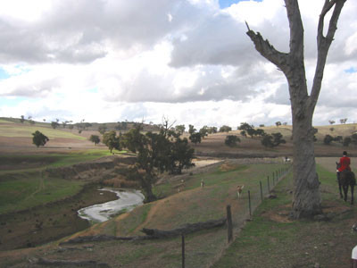 aushuntstream2