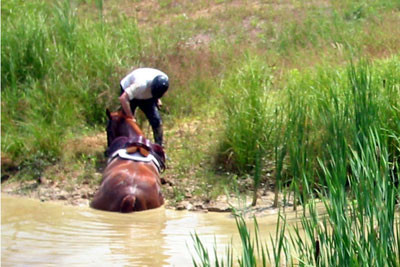 crop180-8094_IMG