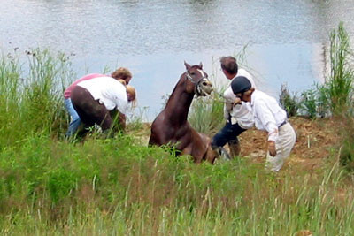 crop180-8100_IMG