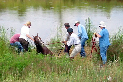 crop181-8103_IMG