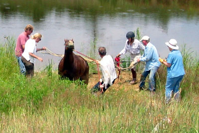 crop181-8104_IMG