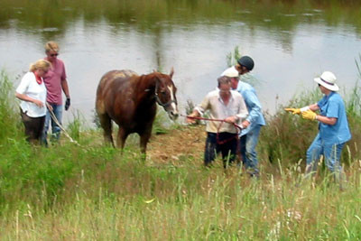 crop181-8105_IMG