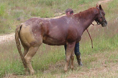 crop181-8107_IMG