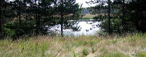 pano180-8061_IMG