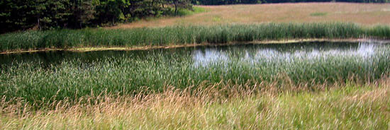 pano180-8063_IMG