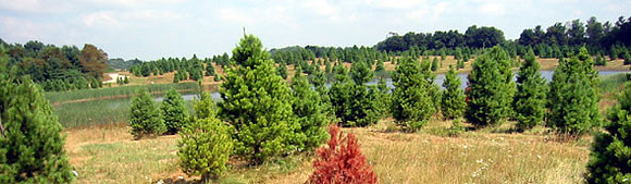 pano180-8068_IMG