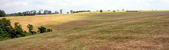 pano180-8070_IMG