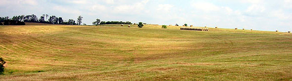 pano180-8072_IMG