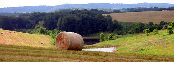 pano180-8081_IMG