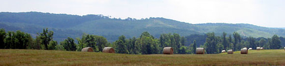 pano180-8084_IMG