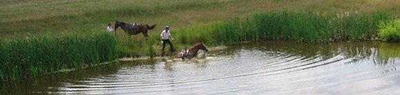 pano180-8091_IMG
