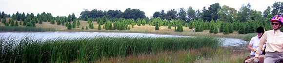 pano181-8117_IMG