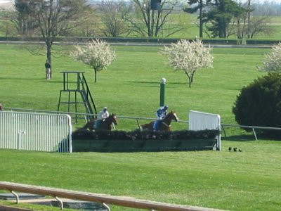 04-16-04_Steeplechase