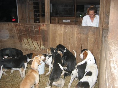 11-01-03_Hounds