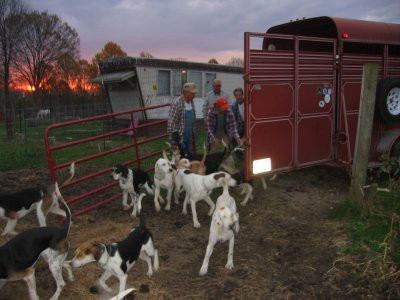11-01-03_Hounds1