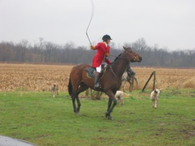 11-28-03_Action