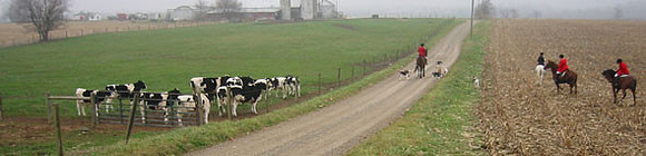 149_4982pano