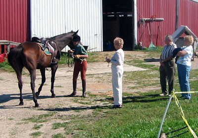 crop195-9581_IMG