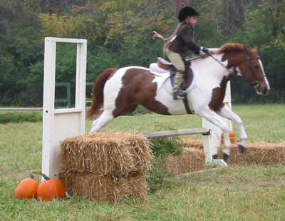 crop198-9814_IMG