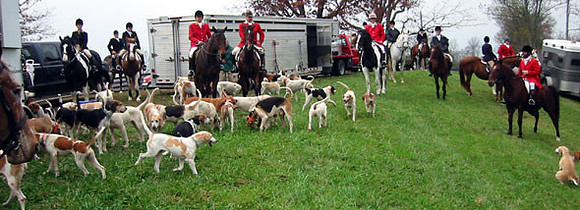 crop200-0049_IMG