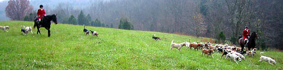 crop200-0076_IMG