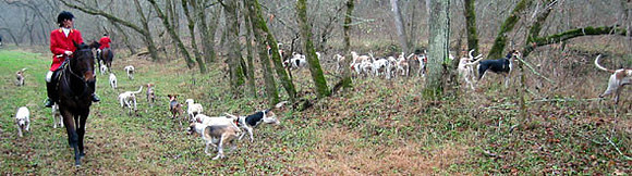 crop200-0088_IMG