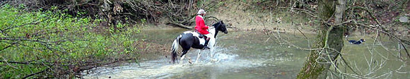 crop200-0092_IMG