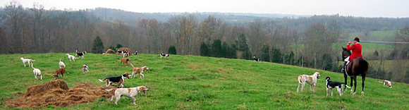 crop200-0094_IMG