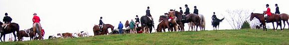 crop201-0103_IMG